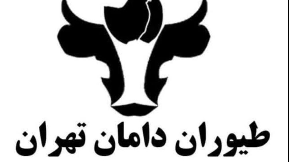 طیوران دامان تهران طیوران دامان تهران